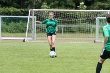 Bild 305 - F VfL Pinneberg - GW Eimsbuettel4 : Ergebnis: 9:0